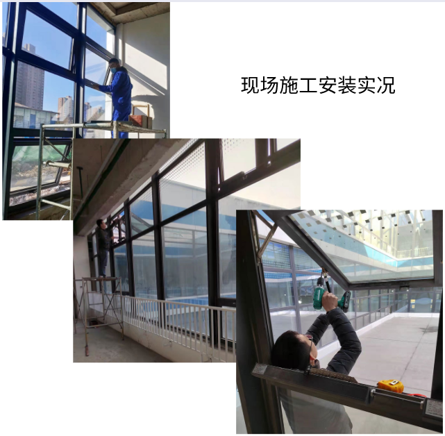 新老澳门原料网大全