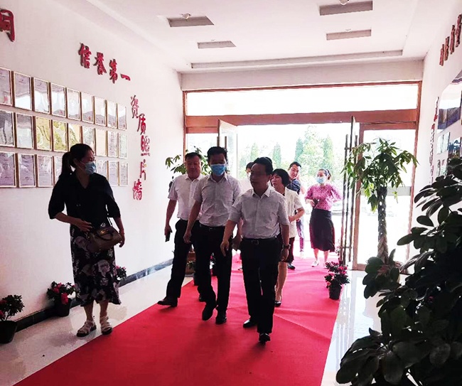 新老澳门原料网大全